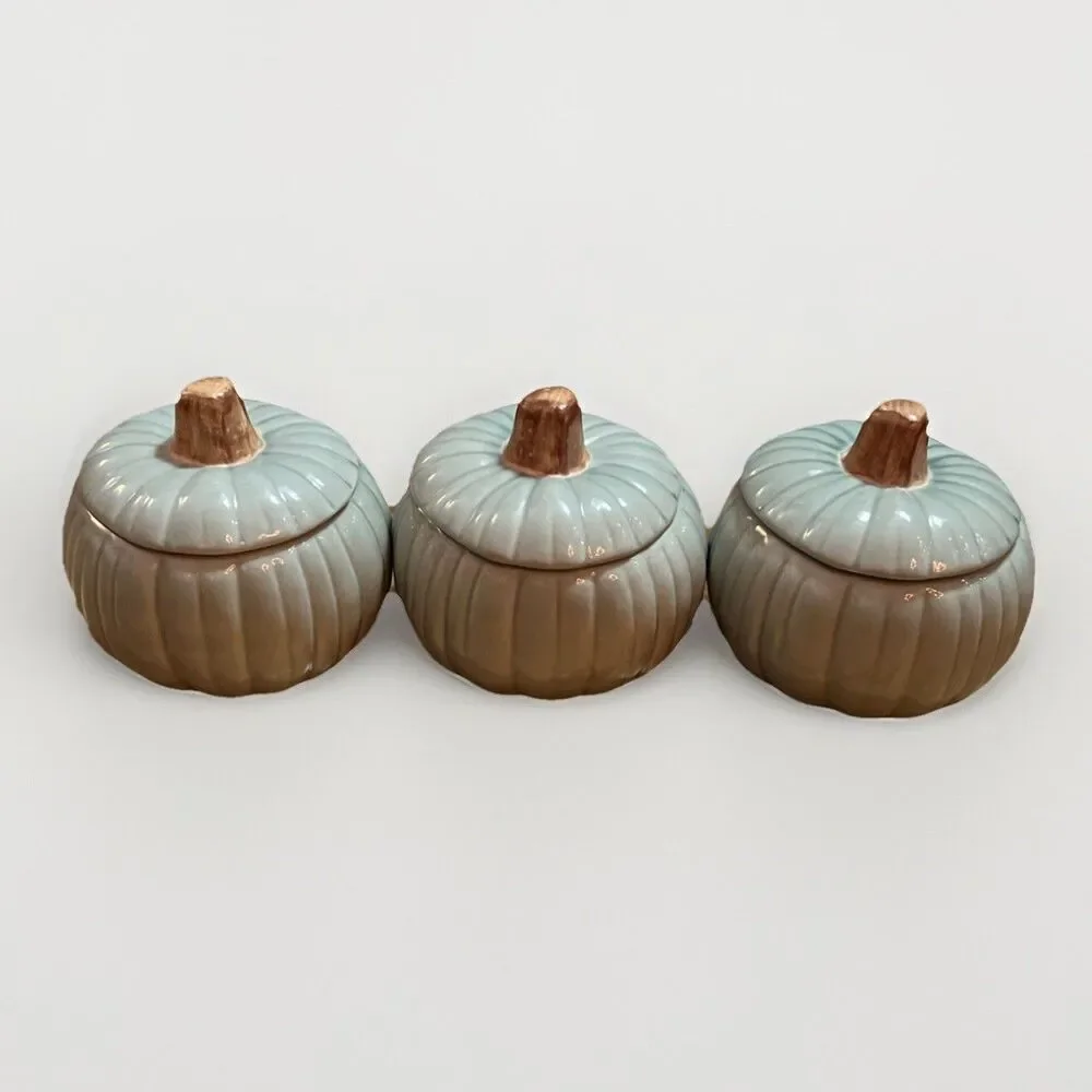 Vintage Williams-Sonoma Pumpkin Soup Bowls with Lids Sage Green NEVER USED
